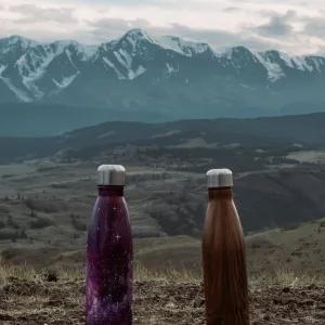 Stainless Water Bottle