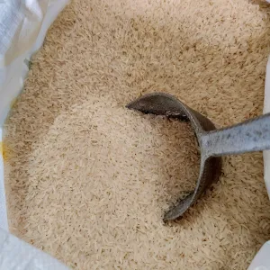 Bulk Rice Sack (25 kg)