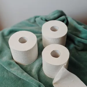 Toilet Paper Bulk Case (48 rolls)
