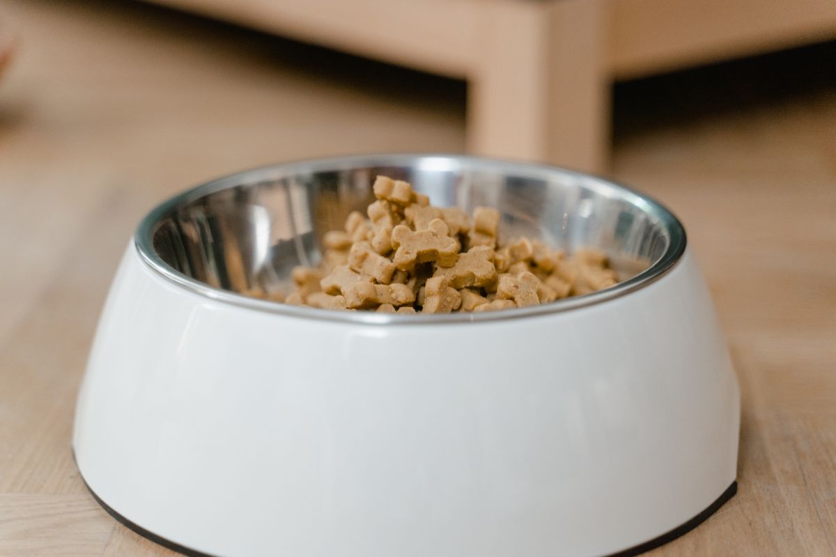 Premium Feeding Bowl