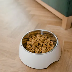 Premium Feeding Bowl