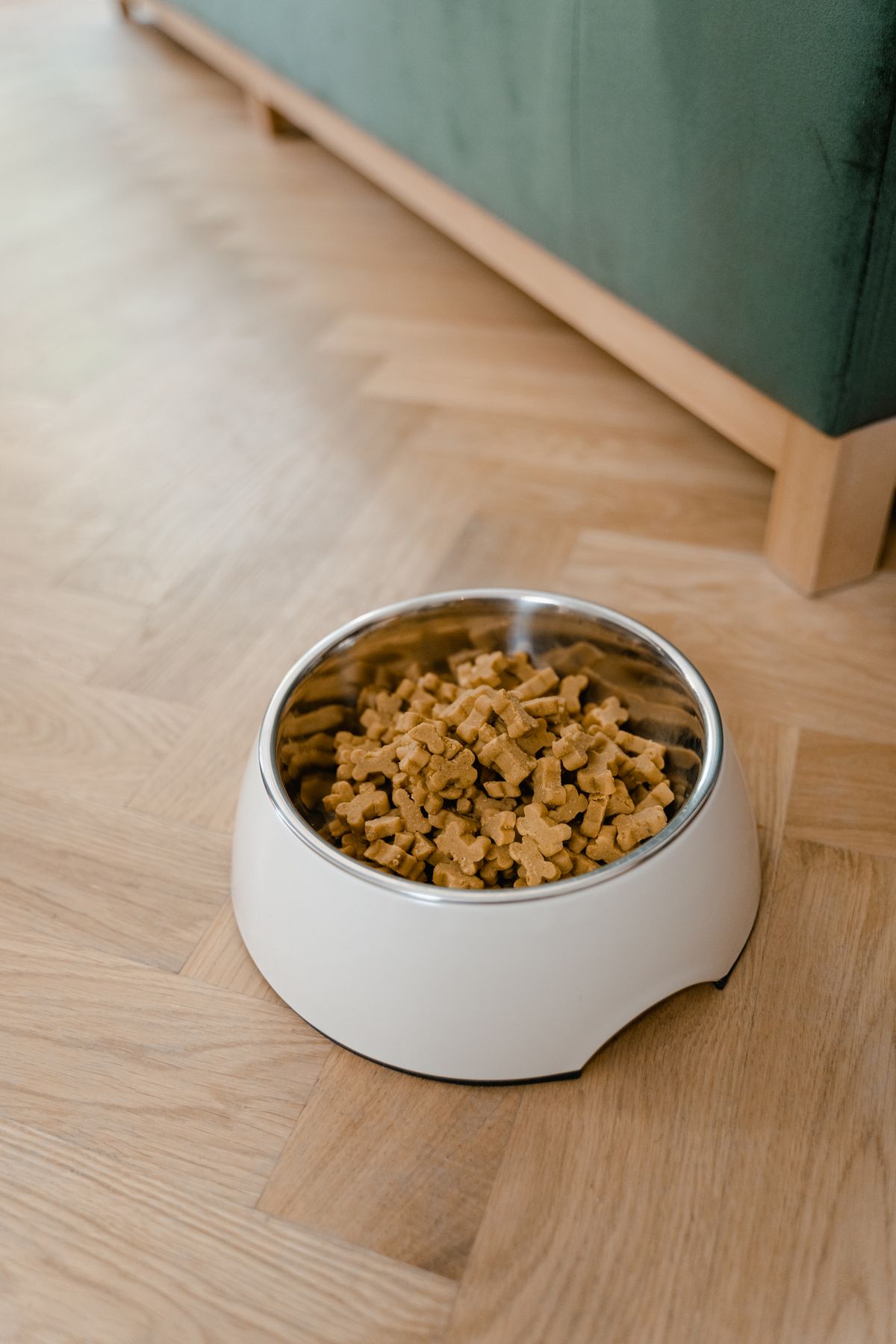 Premium Feeding Bowl