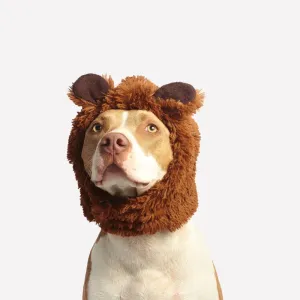 Cosy Dog Hoodie Costume