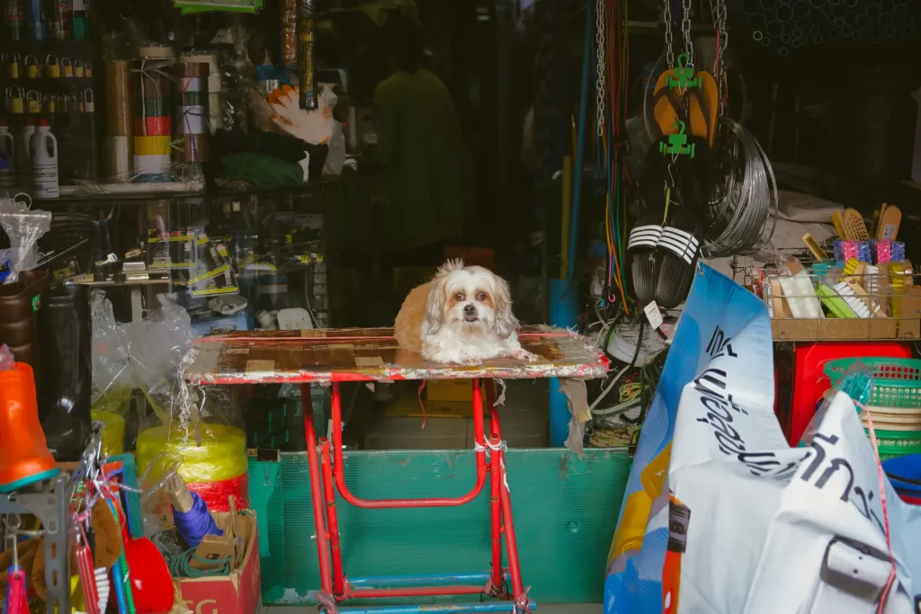 Pet Store Shop demo image